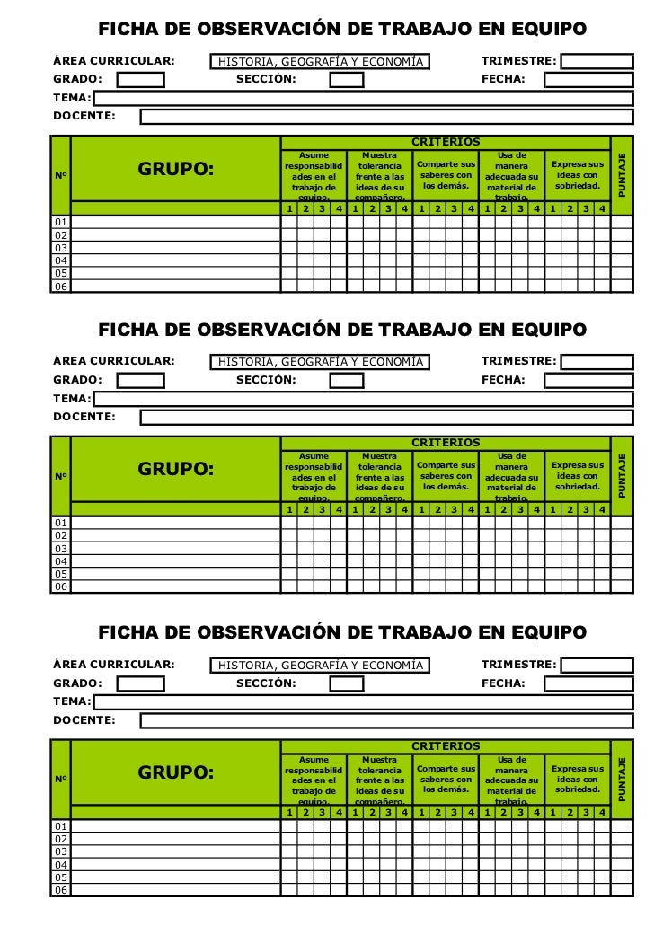 (Ficha de observación trabajo en equipo individual 2) (Ficha de observación trabajo en equipo individual 2)
