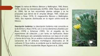 FICHA DE PLANTA Nopal.pptx