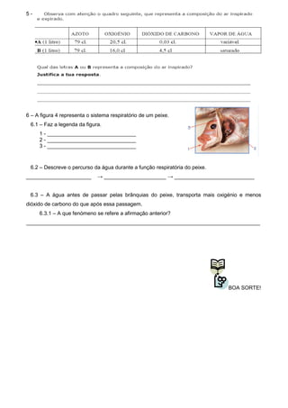 5 -

6 – A figura 4 representa o sistema respiratório de um peixe.
6.1 – Faz a legenda da figura.
1 - ______________________________
2 - ______________________________
3 - ______________________________
6.2 – Descreve o percurso da água durante a função respiratória do peixe.
______________________ → _____________________ → ___________________________
6.3 – A água antes de passar pelas brânquias do peixe, transporta mais oxigénio e menos
dióxido de carbono do que após essa passagem.
6.3.1 – A que fenómeno se refere a afirmação anterior?
_______________________________________________________________________________
BOA SORTE!
 