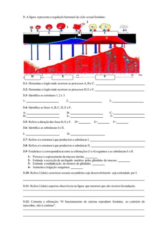 3- A figura representa a regulação hormonal do ciclo sexual feminino. 
2 
1 3 
A B C 
I II 
D E F 
3.1- Denomina o órgão onde ocorrem os processos A, B e C. 
3.2- Denomina o órgão onde ocorrem os processos D, E e F. 
3.3- Identifica as estruturas 1, 2 e 3. 
1- 2- 3- 
3.4- Identifica as fases A, B, C, D, E e F. 
A- B- C-D- 
E- F- 
3.5- Refere a duração das fases D, E e F. D= E= F= 
3.6- Identifica as substâncias I e II. 
I- II- 
3.7- Refere a/s estrutura/s que produz/em a substância I. 
3.8- Refere a/s estrutura/s que produz/em a substância II. 
3.9- Estabelece a correspondência entre as afirmações (1 a 4) seguintes e as substâncias I e II. 
1- Provoca o espessamento da mucosa uterina. 
2- Estimula a secreção de um líquido nutritivo pelas glândulas da mucosa. 
3- Estimula a multiplicação do número de glândulas. 
4- Aumenta a irrigação sanguínea. 
3.10- Refere 2 (dois) caracteres sexuais secundários cujo desenvolvimento seja estimulado por I. 
3.11- Refere 2 (dois) aspectos observáveis na figura que mostram que não ocorreu fecundação. 
3.12- Comenta a afirmação: “O funcionamento do sistema reprodutor feminino, ao contrário do 
masculino, não é contínuo”. 
 