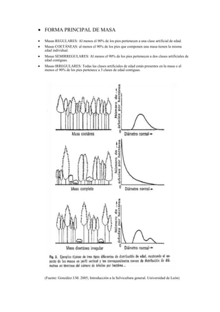 Ficha De RodalizacióN.Anexo