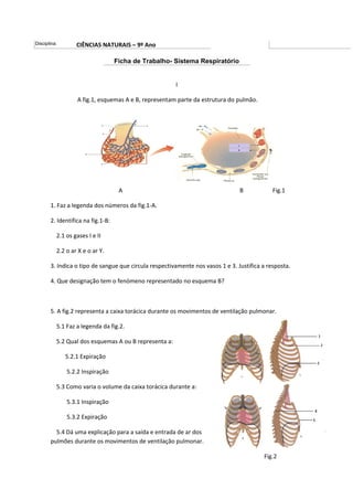 Disciplina:       CIÊNCIAS NATURAIS – 9º Ano

                                   Ficha de Trabalho- Sistema Respiratório


                                                       I

                   A fig.1, esquemas A e B, representam parte da estrutura do pulmão.




                                    A                                           B            Fig.1

       1. Faz a legenda dos números da fig.1-A.

       2. Identifica na fig.1-B:

          2.1 os gases I e II

          2.2 o ar X e o ar Y.

       3. Indica o tipo de sangue que circula respectivamente nos vasos 1 e 3. Justifica a resposta.

       4. Que designação tem o fenómeno representado no esquema B?



       5. A fig.2 representa a caixa torácica durante os movimentos de ventilação pulmonar.

          5.1 Faz a legenda da fig.2.

          5.2 Qual dos esquemas A ou B representa a:

              5.2.1 Expiração

              5.2.2 Inspiração

          5.3 Como varia o volume da caixa torácica durante a:

              5.3.1 Inspiração

              5.3.2 Expiração

         5.4 Dá uma explicação para a saída e entrada de ar dos
       pulmões durante os movimentos de ventilação pulmonar.

                                                                                         Fig.2
 