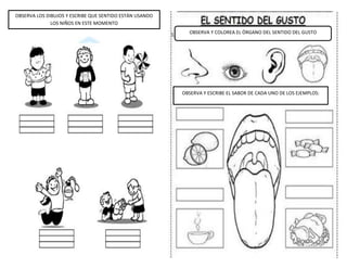 OBSERVA LOS DIBUJOS Y ESCRIBE QUE SENTIDO ESTÁN USANDO
LOS NIÑOS EN ESTE MOMENTO
OBSERVA Y COLOREA EL ÓRGANO DEL SENTIDO DEL GUSTO
OBSERVA Y ESCRIBE EL SABOR DE CADA UNO DE LOS EJEMPLOS:
 
