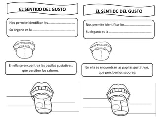 EL SENTIDO DEL GUSTO
Nos permite identificar los……….………………….
Su órgano es la …………………………………..……….
En ella se encuentran las papilas gustativas,
que perciben los sabores:
EL SENTIDO DEL GUSTO
Nos permite identificar los……….………………….
Su órgano es la …………………………………..……….
En ella se encuentran las papilas gustativas,
que perciben los sabores:
 