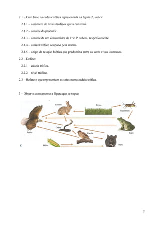 2
2.1 – Com base na cadeia trófica representada na figura 2, indica:
2.1.1 – o número de níveis tróficos que a constitui.
2.1.2 – o nome do produtor.
2.1.3 – o nome de um consumidor de 1ª e 3ª ordens, respetivamente.
2.1.4 – o nível trófico ocupado pela aranha.
2.1.5 – o tipo de relação biótica que predomina entre os seres vivos ilustrados.
2.2 – Define:
2.2.1 – cadeia trófica.
2.2.2 – nível trófico.
2.3 – Refere o que representam as setas numa cadeia trófica.
3 – Observa atentamente a figura que se segue.
 