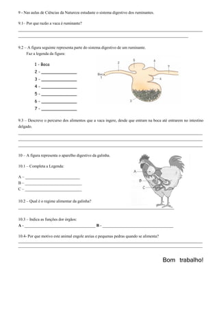9 - Nas aulas de Ciências da Natureza estudaste o sistema digestivo dos ruminantes.
9.1– Por que razão a vaca é ruminante?
___________________________________________________________________________________________
____________________________________________________________________________________
9.2 – A figura seguinte representa parte do sistema digestivo de um ruminante.
Faz a legenda da figura:
9.3 – Descreve o percurso dos alimentos que a vaca ingere, desde que entram na boca até entrarem no intestino
delgado.
___________________________________________________________________________________________
___________________________________________________________________________________________
___________________________________________________________________________________________
10 – A figura representa o aparelho digestivo da galinha.
10.1 – Completa a Legenda:
A – ___________________________
B – ____________________________
C – ____________________________
10.2 – Qual é o regime alimentar da galinha?
_____________________________________________________________________________
10.3 – Indica as funções dor órgãos:
A - ___________________________________ B - ___________________________________
10.4- Por que motivo este animal engole areias e pequenas pedras quando se alimenta?
___________________________________________________________________________________________
___________________________________________________________________________________________
Bom trabalho!
1 - Boca
2 - ______________
3 - ______________
4 - ______________
5 - ______________
6 - ______________
7 - ______________
 