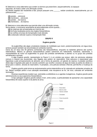 PÁGINA 6
5. Selecione a única alternativa que contém os termos que preenchem, sequencialmente, os espaços
seguintes, de modo a obter uma afirmação correta.
As células vegetais são resistentes à lise, porque possuem uma _______ celular constituída, essencialmente, por um
polissacarídeo _______.
(A) parede ... estrutural.
(B) membrana ... estrutural.
(C) parede ... de reserva.
(D) membrana ... de reserva.
6. Selecione a única alternativa que permite obter uma afirmação correta.
Numa planta, o movimento ascendente da seiva elaborada ocorre quando…
(A) as reservas são armazenadas ao nível da raiz.
(B) há frutos localizados acima dos órgãos fotossintéticos.
(C) se verifica uma taxa de transpiração muito elevada.
(D) a absorção radicular supera a transpiração foliar.
GRUPO V
Euglena gracilis
As euglenófitas são algas unicelulares dotadas de mobilidade que vivem, predominantemente, em água doce,
embora possam também ser encontradas em ambiente marinho.
Cerca de um terço dos 40 géneros conhecidos são fotoautotróficos, enquanto os restantes géneros são quimio-
heterotróficos. Mesmo os géneros fotoautotróficos podem sobreviver em heterotrofia, ilustrando, claramente, a
impossibilidade de incluir as euglenófitas no grupo dos protistas semelhantes a plantas ou no grupo dos protistas
semelhantes a animais.
A alga Euglena gracilis, representada na Figura 3, é um protista que possui, além de estruturas celulares
comuns à maioria dos eucariontes, dois flagelos que partem do reservatório. Esta estrutura é responsável pela
fagocitose e pelo armazenamento de alimento, sob a forma de paramilo, um glúcido de reserva. A pressão osmótica
desta alga é regulada pela ação do vacúolo contráctil, que recolhe o excesso de água de todas as partes da célula e a
lança para o exterior, através do reservatório. O periplasto, uma película estriada e flexível, permite-lhe a mudança de
forma.
Euglena gracilis pode tornar-se exclusivamente quimio-heterotrófica se for colocada em ambientes privados de
luz. Nessa condição perde a sua coloração esverdeada, mas recupera-a se for, de novo, colocada em ambientes
iluminados.
Diversas experiências revelam que, submetida a antibióticos ou a agentes mutagénicos, Euglena gracilis perde
definitivamente os seus pigmentos fotossintéticos.
O tipo selvagem Euglena gracilis estirpe Z tem, entre outras, a particularidade de apresentar uma capacidade
fotossintética 60 vezes superior à da planta do arroz.
 