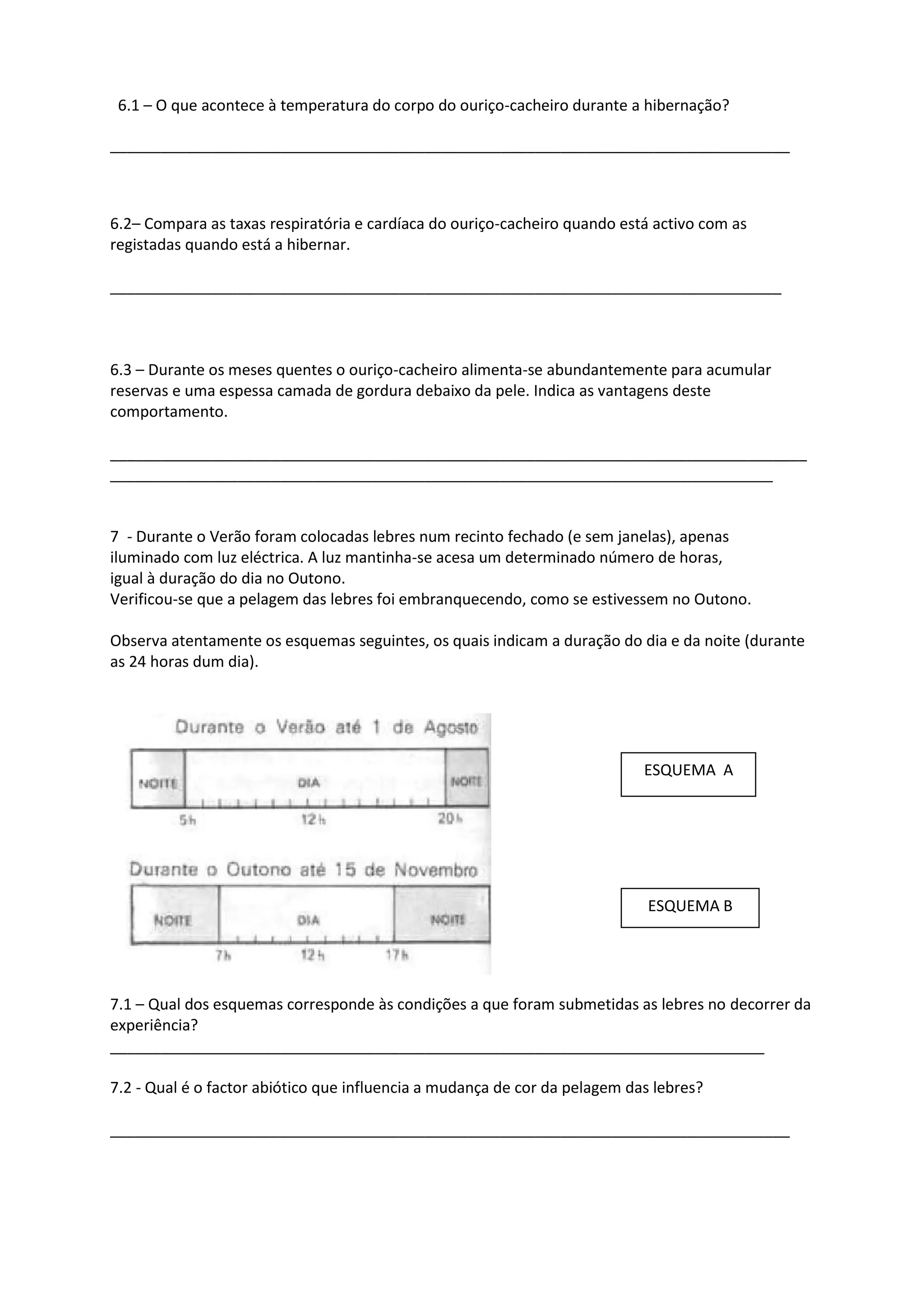 Ficha de trabalho 8º ano blog | DOCX