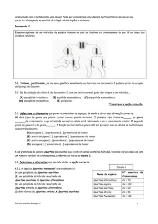 relacionada com o metabolismo dos lípidos. Pode ser considerada uma doença multissistémica devido ao seu
carácter abrangente no sentido de atingir vários órgãos e sistemas

Documento 2

Espermatogénese de um individuo da espécie humana na qual se ilustram os cromossomas do par 18 ao longo das
divisões celulares.




5.1. Indique, justificando, se um erro genético semelhante ao ilustrado no documento 2 poderia estar na origem
da Doença de Gaucher.

5.2. Da fecundação da célula 4, do documento 2, com um oócito normal, pode dar origem a um indivíduo....

     (A) aneuplóide trissómico.   (B) euplóide monossómico.   (C) aneuplóide monossómico.
    (D) aneuplóide nulissómico.       (E) poliplóide.
                                                                                    Transcreva a opção correcta.


5.3. Seleccione a alternativa que permite preencher os espaços, de modo a obter uma afirmação correcta.
Há dois tipos de genes que podem causar cancro quando mutados. O primeiro tipo chama-se_____, ou genes
_______de crescimento, cuja actividade normal na célula está relacionada com o crescimento celular. O segundo
grupo de genes é o de genes______. A função normal destes genes está em prevenir que as células se multipliquem
descontroladamente.
             (A) oncogene […] supressores […] promotores de tumor
             (B) proto-oncogene […] supressores […]supressores de tumor
             (C) proto-oncogene […]promotores […]supressores de tumor
             (D) oncogene […] promotores […] supressores de tumor


6.As gramíneas do género Spartina são plantas que vivem em zonas costeiras húmidas, havendo várias espécies com
um número variável de cromossomas, conforme se indica na tabela I.

6.1. Seleccione a alternativa que permite obter a opção correcta.

6.1.1. A espécie Spartina townsendii provavelmente é:
                                                                                              Tabela I
(A) um poliplóide da Spartina marítima                                                            Nº somático de
                                                                          Nome da espécie
(B) um poliplóide do híbrido resultante de                                                        Cromossomas
Spartina marítima X Spartina alterniflora                             Spartina alterniflora       2n = 70
(C) um poliplóide do híbrido resultante de                            Spartina anglica            4n = 122
Spartina stricta X Spartina alterniflora                              Spartina marítima           2n = 60
(D) Um híbrido de Spartina stricta X Spartina marítima                Spartina stricta            2n = 56
                                                                      Spartina townsendii         4n = 126


Ficha de trabalho Biologia 12º                                                                                  4
 