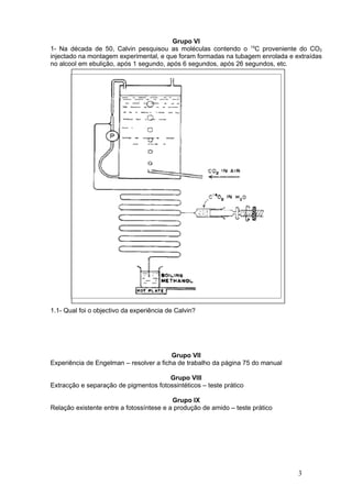 Grupo VI
1- Na década de 50, Calvin pesquisou as moléculas contendo o 14C proveniente do CO2
injectado na montagem experimental, e que foram formadas na tubagem enrolada e extraídas
no alcool em ebulição, após 1 segundo, após 6 segundos, após 26 segundos, etc.




1.1- Qual foi o objectivo da experiência de Calvin?




                                         Grupo VII
Experiência de Engelman – resolver a ficha de trabalho da página 75 do manual

                                       Grupo VIII
Extracção e separação de pigmentos fotossintéticos – teste prático

                                          Grupo IX
Relação existente entre a fotossíntese e a produção de amido – teste prático




                                                                                3
 