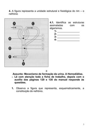 3
4. A figura representa a unidade estrutural e fisiológica do rim – o
nefrónio
4.1. Identifica as estruturas
assinaladas com os
algarismos.
1- ________________
2- ________________
3- ________________
4- ________________
II
Assunto: Mecanismo de formação da urina. A Hemodiálise.
o Lê com atenção toda a ficha de trabalho, depois com o
auxílio das páginas 129 e 130 do manual responde às
questões.
1. Observa a figura que representa, esquematicamente, a
constituição do nefrónio.
 