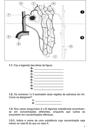 4
1.1. Faz a legenda das letras da figura.
A- _____________________
B- _____________________
C- _____________________
D- _____________________
E- _____________________
F- _____________________
G- _____________________
H- _____________________
1.2. Os números I e II assinalam duas regiões da estrutura do rim.
Como se designam?
I- ___________________
II- ___________________
1.3. Nos vasos sanguíneos A e B algumas substâncias encontram-
se em concentrações diferentes, enquanto que outras se
encontram em concentrações idênticas.
1.3.1. Indica o nome de uma substância cuja concentração seja
menor no vaso B do que no vaso A.
 