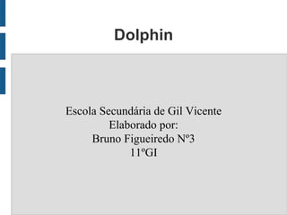 Dolphin



Escola Secundária de Gil Vicente
         Elaborado por:
     Bruno Figueiredo Nº3
             11ºGI
 