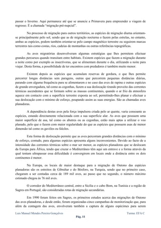  
 

passar o Inverno. Aqui permanece até que se anuncie a Primavera para empreender a viagem de
regresso. É a chamada “migração pré-nupcial”.

          No processo de migração para outros territórios, as espécies de migração diurna orientam-
se principalmente pelo sol, sendo que as de migração nocturna o fazem pelas estrelas, no entanto,
ambas as espécies, podem também orientar-se pelo campo magnético terrestre ou seguirem marcas
terrestres tais como costas, rios, cadeias de montanhas ou outras referências topográficas.

         As aves migratórias desenvolveram algumas estratégias que lhes permitem efectuar
grandes percursos quando transitam entre habitats. Existem espécies que fazem a migração durante
a noite como por exemplo as insectívoras, que se alimentam durante o dia, utilizando a noite para
viajar. Desta forma, a possibilidade de ter encontros com predadores é também muito menor.

         Existem depois as espécies que acumulam reservas de gordura, o que lhes permite
percorrer longas distâncias sem paragens, outras que percorrem pequenas distâncias diárias,
parando com alguma frequência para se alimentarem e no caso das aves de rapina e outras espécies
de grande envergadura, tal como as cegonhas, fazem a sua deslocação tirando proveito das correntes
térmicas ascendentes que se formam sobre as massas continentais, quando o ar frio da atmosfera
aquece em contacto com a superfície terrestre exposta ao sol, permitindo-lhes planar e efectuar a
sua deslocação com o mínimo de esforço, poupando assim as suas energias. São as chamadas aves
planadoras.

         A dependência destas aves pela força impulsora criada pelo ar quente, varia consoante as
espécies, estando directamente relacionada com a sua superfície alar. As aves que possuem uma
maior superfície de asa, tal como os abutres ou as cegonhas, estão mais aptas a utilizar o voo
planado, pelo que o fazem com maior regularidade do que as espécies que possuem asas de menor
dimensão tal como os gaviões ou falcões.

         Esta forma de deslocação permite que as aves percorram grandes distâncias com o mínimo
de esforço, contudo, para algumas espécies apresenta alguns inconvenientes. Devido ao facto de a
intensidade das correntes térmicas sobre o mar ser menor, as espécies planadoras que se deslocam
da Europa para África, tendo que cruzar o Mediterrâneo têm aqui um entrave e a forma através da
qual tentam ultrapassar essa dificuldade é convergirem em locais onde a distância entre os dois
continentes é menor.

        Na Europa, os locais de maior destaque para a migração de Outono das espécies
planadoras são os estreitos de Gibraltar e do Bósforo, na Turquia, sendo que no primeiro caso,
chegaram a ser contadas cerca de 189 mil aves, ao passo que no segundo, o número máximo
estimado chegou às 76 mil aves.

        O corredor do Mediterrâneo central, entre a Sicília e o cabo Bom, na Tunísia e a região de
Sagres em Portugal, são consideradas rotas de migração secundárias.

         Em 1990 foram feitos em Sagres, os primeiros estudos acerca das migrações de Outono
das aves planadoras, e desde então, foram organizadas cinco campanhas de monitorização que, para
além da contagem das aves, envolveram também a captura de alguns espécimes para serem

Luis Manuel Mendes Pereira Gonçalves                                                Turma: EFA C
                                             Pág. 11
 