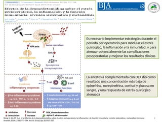 Wang K, Wu M, Xu J, et al. Efectos de la dexmedetomidina sobre el estrés perioperatorio, la inflamación y la función inmunitaria: revisión sistemática y metanálisis.Hermano J
Anaesth.2019;123(6):777-794. doi:10.1016/j.bja.2019.07.027
La anestesia complementada con DEX dio como
resultado una concentración más baja de
epinefrina, norepinefrina, cortisol y glucosa en
sangre, y una respuesta de estrés quirúrgico
atenuada
Es necesario implementar estrategias durante el
período perioperatorio para modular el estrés
quirúrgico, la inflamación y la inmunidad, y para
atenuar potencialmente las complicaciones
posoperatorias y mejorar los resultados clínicos
 