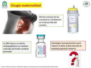 Crowe G, Atterton B, Moran L. ATOTW 469: Aplicaciones perioperatorias de la dexmedetomidina. Abril de 2022
Cirugía maternofetal
Efectos nocivos de los
anestésicos inhalatorios
en el desarrollo del
cerebro.
La DEX ejerce un efecto
antiapoptótico en modelos
animales de lesión cerebral
perinatal
Estrategia neuroprotectora para
reducir el daño al feto durante la
anestesia general materna
 