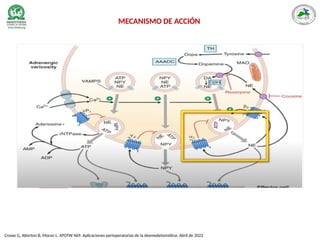 Crowe G, Atterton B, Moran L. ATOTW 469: Aplicaciones perioperatorias de la dexmedetomidina. Abril de 2022
MECANISMO DE ACCIÓN
 