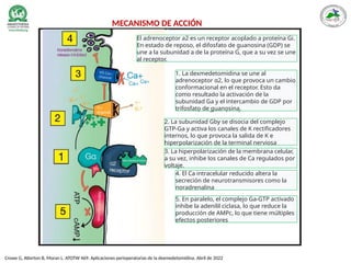 Crowe G, Atterton B, Moran L. ATOTW 469: Aplicaciones perioperatorias de la dexmedetomidina. Abril de 2022
MECANISMO DE ACCIÓN
El adrenoceptor a2 es un receptor acoplado a proteína Gi.
En estado de reposo, el difosfato de guanosina (GDP) se
une a la subunidad a de la proteína G, que a su vez se une
al receptor.
1. La dexmedetomidina se une al
adrenoceptor α2, lo que provoca un cambio
conformacional en el receptor. Esto da
como resultado la activación de la
subunidad Ga y el intercambio de GDP por
trifosfato de guanosina.
2. La subunidad Gby se disocia del complejo
GTP-Ga y activa los canales de K rectificadores
internos, lo que provoca la salida de K e
hiperpolarización de la terminal nerviosa
3. La hiperpolarización de la membrana celular,
a su vez, inhibe los canales de Ca regulados por
voltaje.
4. El Ca intracelular reducido altera la
secreción de neurotransmisores como la
noradrenalina
5. En paralelo, el complejo Ga-GTP activado
inhibe la adenilil ciclasa, lo que reduce la
producción de AMPc, lo que tiene múltiples
efectos posteriores
 