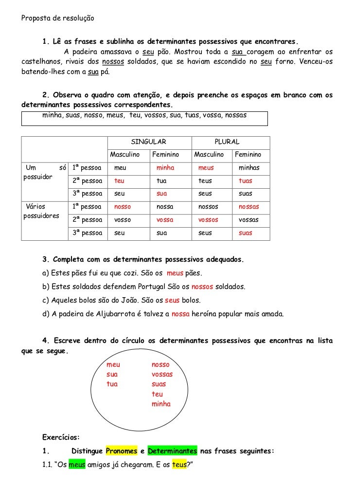 Ficha dos determinantes e pronomes possessivos