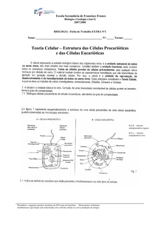 Escola Secundária de Francisco Franco
Biologia e Geologia (Ano I)
2007/2008
BIOLOGIA - Ficha de Trabalho EXTRA Nº1
Nome: _________________________________________________ Nº: _____ Turma: ______
Teoria Celular – Estrutura das Células Procarióticas
e das Células Eucarióticas
R.E.R – retículo
endoplasmático rugoso
R.E.L. – retículo
endoplamático liso
Plasmídeos - pequenas porções circulares de DNA que nas bactérias Mesossomas- Estruturas
membranosas cuja função está relacionada com a divisão celular ou com a produção de energia.
 