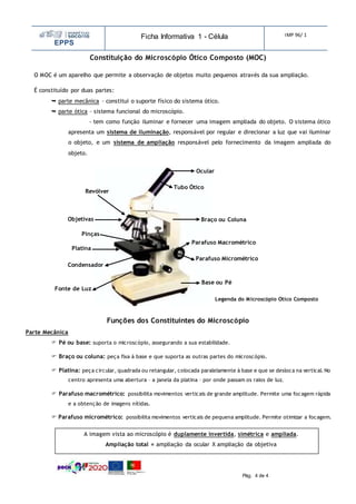 EPPS
Ficha Informativa 1 - Célula IMP 96/ 1
Pág. 4 de 4
Constituição do Microscópio Ótico Composto (MOC)
O MOC é um aparelho que permite a observação de objetos muito pequenos através da sua ampliação.
É constituído por duas partes:
 parte mecânica – constitui o suporte físico do sistema ótico.
 parte ótica – sistema funcional do microscópio.
- tem como função iluminar e fornecer uma imagem ampliada do objeto. O sistema ótico
apresenta um sistema de iluminação, responsável por regular e direcionar a luz que vai iluminar
o objeto, e um sistema de ampliação responsável pelo fornecimento da imagem ampliada do
objeto.
Funções dos Constituintes do Microscópio
Parte Mecânica
 Pé ou base: suporta o microscópio, assegurando a sua estabilidade.
 Braço ou coluna: peça fixa à base e que suporta as outras partes do microscópio.
 Platina: peça circular, quadrada ou retangular, colocada paralelamente à base e que se desloca na vertical. No
centro apresenta uma abertura – a janela da platina – por onde passam os raios de luz.
 Parafuso macrométrico: possibilita movimentos verticais de grande amplitude. Permite uma focagem rápida
e a obtenção de imagens nítidas.
 Parafuso micrométrico: possibilita movimentos verticais de pequena amplitude. Permite otimizar a focagem.
Legenda do Microscópio Ótico Composto
Ocular
Tubo Ótico
Braço ou Coluna
Revólver
Objetivas
Base ou Pé
Parafuso Macrométrico
Pinças
Parafuso Micrométrico
Condensador
Platina
Fonte de Luz
A imagem vista ao microscópio é duplamente invertida, simétrica e ampliada.
Ampliação total = ampliação da ocular X ampliação da objetiva
 