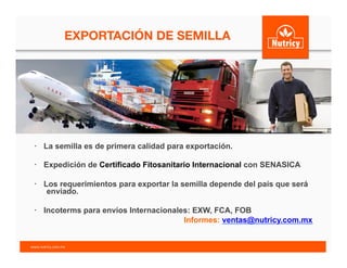 EXPORTACIÓN DE SEMILLA
	
  
•  La semilla es de primera calidad para exportación.
•  Expedición de Certificado Fitosanitario Internacional con SENASICA
•  Los requerimientos para exportar la semilla depende del país que será
enviado.
•  Incoterms para envíos Internacionales: EXW, FCA, FOB
Informes: ventas@nutricy.com.mx
www.nutricy.com.mx	
  	
  
 