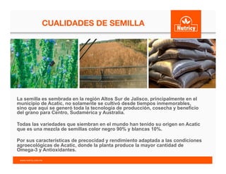CUALIDADES DE SEMILLA	
  
La semilla es sembrada en la región Altos Sur de Jalisco, principalmente en el
municipio de Acatic, no solamente se cultivó desde tiempos inmemorables,
sino que aquí se generó toda la tecnología de producción, cosecha y beneficio
del grano para Centro, Sudamérica y Australia.
Todas las variedades que siembran en el mundo han tenido su origen en Acatic
que es una mezcla de semillas color negro 90% y blancas 10%.
Por sus características de precocidad y rendimiento adaptada a las condiciones
agroecológicas de Acatic, donde la planta produce la mayor cantidad de
Omega-3 y Antioxidantes.
www.nutricy.com.mx	
  	
  
 