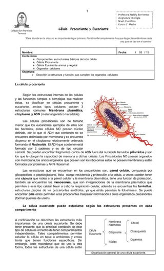 1
Célula Procarionte y Eucarionte
“Para triunfar en la vida,no es importante llegar primero.Para triunfar simplemente hay que llegar,levantándose cada
vez que se cae en el camino”
La célula procarionte
Según las estructuras internas de las células
y las funciones simples o complejas que realicen
éstas, se clasifican en células procarionte y
eucarionte, ambos tipos celulares poseen 3
estructuras comunes Membrana plasmática,
citoplasma y ADN (material genético heredable).
Las células procariontes son de tamaño
menor que los eucariontes ejemplos de ellas son
las bacterias, estas células NO poseen núcleo
definido, por lo que el ADN que contienen no se
encuentra delimitado por membrana y se encuentra
disperso en el citoplasma relativamente ordenado
formando el Nucleoide. El ADN que contienen está
formado por 2 cadenas y es de tipo circular
cerrada. Se pueden encontrar fragmentos cortos de ADN fuera del nucleoide llamados plásmidos y son
los que le otorgan la capacidad de memoria a dichas células. Los Procariontes NO poseen organelos
con membrana, los únicos organelos que poseen son los ribosomas estos no poseen membrana y están
formados por proteínas y ARN ribosomal.
Las estructuras que se encuentran en los procariontes son, pared celular, compuesta por
glicopeptídos o peptidoglucano, ésta otorga resistencia y protección a la célula, a veces pueden tener
una cápsula que rodea a la pared celular y la membrana plasmática, tiene una función de protección,
también se encuentran los mesosomas, que son invaginaciones de la membrana plasmática que
permiten a este tipo celular llevar a cabo la respiración celular, además se encuentras las laminillas,
estructuras propias de los procariontes autótrofos, ya que estás permiten la fotosíntesis. Se puede
encontrar pilis estos permiten a los procariontes traspasar información a otros organismos procariontes
(forman puentes de unión).
La célula eucarionte puede estudiarse según las estructuras presentes en cada
compartimento
A continuación se describen las estructuras más
importantes de una célula eucarionte. Se debe
tener presente que la principal condición de este
tipo de célula es el hecho de tener compartimentos
independientes. Tales compartimentos permiten
estudiar la célula en base a ambientes y zonas
límite que tienen funciones específicas. Sin
embargo, debe recordarse que de una u otra
forma, todas las estructuras de una célula están
Nombre: Fecha: / 03 / 15
Contenidos:
 Componentes estructurales básicos de toda célula
 Célula Procarionte
 Célula Eucarionte animal y vegetal
 Organelos celulares
Objetivos:
 Describir la estructura y función que cumplen los organelos celulares
ColegioSanFrancisco
Temuco
Profesora:Nataly Barrientos
Asignatura:Biología
Nivel: Científico
Curso: 1° Medio
 