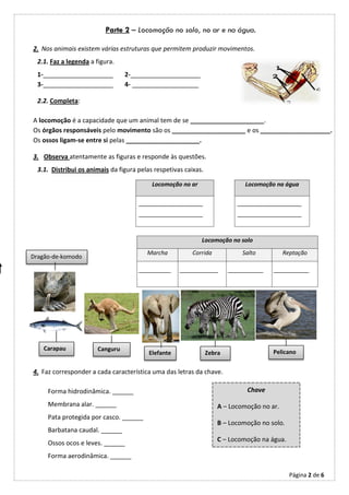 Parte 2 – Locomoção no solo, no ar e na água.

2. Nos animais existem várias estruturas que permitem produzir movimentos.
  2.1. Faz a legenda a figura.
  1-____________________         2-____________________
  3-____________________         4- ___________________

  2.2. Completa:

A locomoção é a capacidade que um animal tem de se _____________________.
Os órgãos responsáveis pelo movimento são os _____________________ e os ____________________.
Os ossos ligam-se entre si pelas _____________________.

3. Observa atentamente as figuras e responde às questões.
  3.1. Distribui os animais da figura pelas respetivas caixas.

                                           Locomoção no ar                    Locomoção na água

                                      ____________________                 ____________________
                                      ____________________                 ____________________



                                                             Locomoção no solo
                                         Marcha           Corrida            Salto          Reptação
Dragão-de-komodo

                                      __________     ____________        ___________   ___________




    Carapau            Canguru
                                          Elefante               Zebra                 Pelicano


4. Faz corresponder a cada característica uma das letras da chave.

     Forma hidrodinâmica. ______                                              Chave

     Membrana alar. ______                                           A – Locomoção no ar.
     Pata protegida por casco. ______
                                                                     B – Locomoção no solo.
     Barbatana caudal. ______
                                                                     C – Locomoção na água.
     Ossos ocos e leves. ______
     Forma aerodinâmica. ______

                                                                                              Página 2 de 6
 