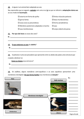 10.    A águia é um animal bem adaptado ao voo.
Nas expressões que se seguem, assinala com uma cruz (x) as que se referem a adaptações desta ave
ao seu modo de locomoção.

                  esterno em forma de quilha                  fortes músculos peitorais
                  garras fortes                               boca munida de bico
                  ossos ocos ou pneumáticos                   forma aerodinâmica
                  Membros posteriores adaptados à marcha      asas
                  asas membranosas                            corpo coberto de penas

11.    Por que são leves os ossos das aves?
R.: _______________________________________________________________________________
_________________________________________________________________________________

12.    O que endurece as asas da abelha?
 R.: _______________________________________________________________________________
_________________________________________________________________________________

13.    O pelicano é uma ave pescadora que apresenta entre os dedos das patas uma estrutura que
o ajuda a deslocar-se.
      Como se chama essa estrutura?
 R.: _______________________________________________________________________________
 _________________________________________________________________________________

14.    Os anfíbios, alguns mamíferos semi-aquáticos e as aves aquáticas apresentam uma
membrana interdigital. De que forma facilita essa membrana a natação?
                                                                                      R.:
      Pato
                                                                 Bufo marinus
                                                                                      ___________
                                                                                      ___________
                                                                                      ___________
                                                                                      ___________
                                                                                      ___________
                               Membrana interdigital
                                                                                      ___________
                                                                                      ___________
                                                                                      ___________
                                                                                      ___________
                                                                                      ___________
                                                                                      ___________
  Ornitorrinco
                                                                    Albatroz
                                                                                       Página 5 de 6
 
