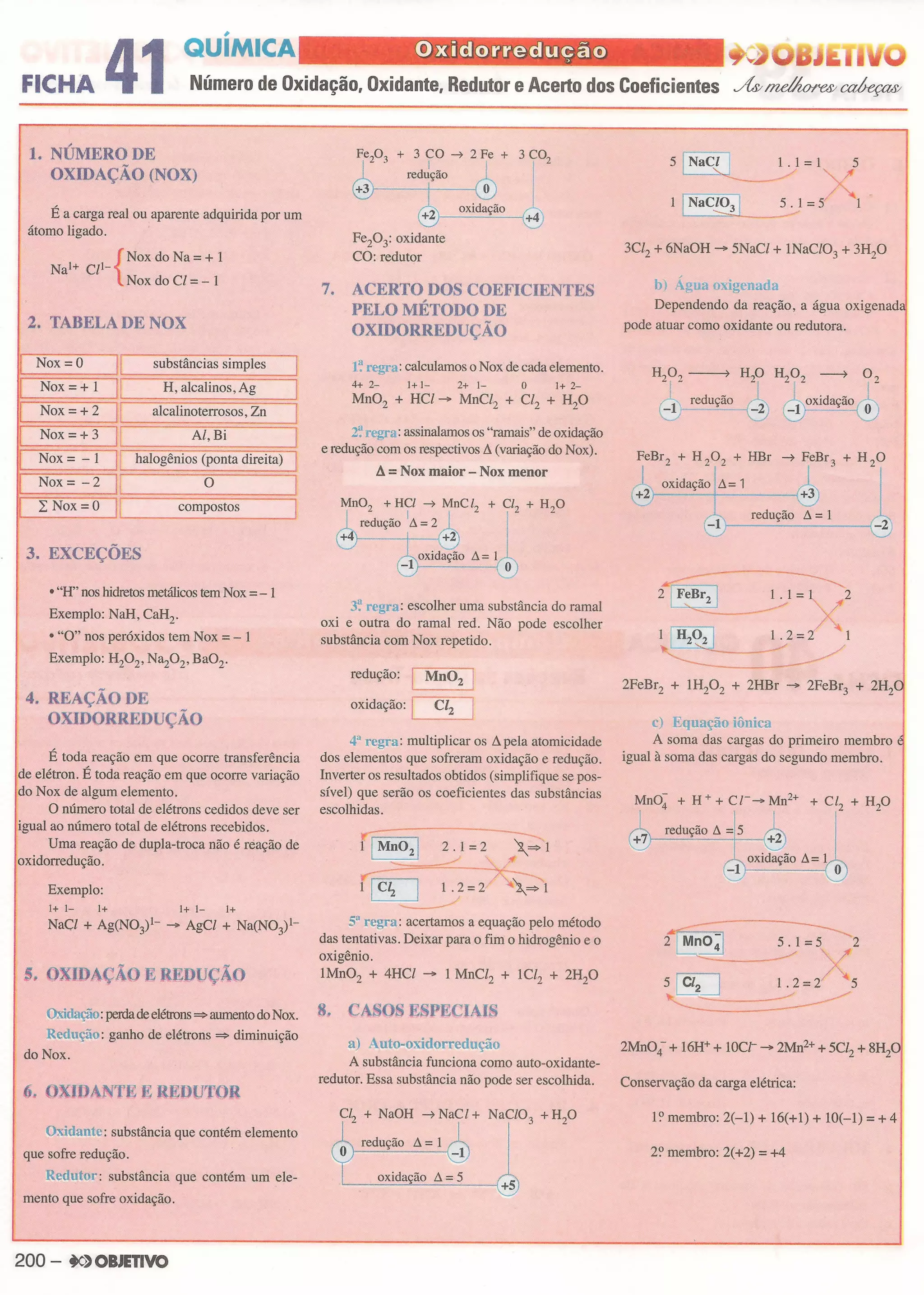 Ficha resumo objetivo vol. 1