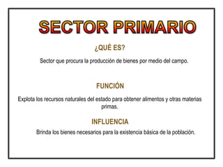 ¿QUÉ ES?
Sector que procura la producción de bienes por medio del campo.
FUNCIÓN
Explota los recursos naturales del estado para obtener alimentos y otras materias
primas.
INFLUENCIA
Brinda los bienes necesarios para la existencia básica de la población.
 