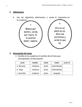 Fichas de Comprensión de Lectura – 2° Básico - Ficha 12
2 de 4
C
A
Blanca por
dentro, verde
por fuera. Si
lo quieres
saber, espera.
B
Oro no es
plata no es.
Abre las
cortinitas y
verás lo que
es.
2. Adivinanzas
• Lee las siguientes adivinanzas y anota la respuesta en
tu cuaderno.
3. Descripción de frutas
• Escribe en tu cuaderno el nombre de la fruta que
corresponde a la descripción.
COLOR TAMAÑO SABOR FORMA ¿CUÁL ES?
a. Naranjo mediano ácido redondeada
b. Roja mediana dulce redondeada
c. Amarillo mediano dulce alargada
 