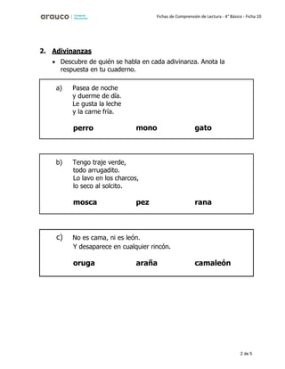 2 de 5
Fichas de Comprensión de Lectura - 4° Básico - Ficha 10
2. Adivinanzas
• Descubre de quién se habla en cada adivinanza. Anota la
respuesta en tu cuaderno.
a) Pasea de noche
y duerme de día.
Le gusta la leche
y la carne fría.
perro mono gato
b) Tengo traje verde,
todo arrugadito.
Lo lavo en los charcos,
lo seco al solcito.
mosca pez rana
c) No es cama, ni es león.
Y desaparece en cualquier rincón.
oruga araña camaleón
 