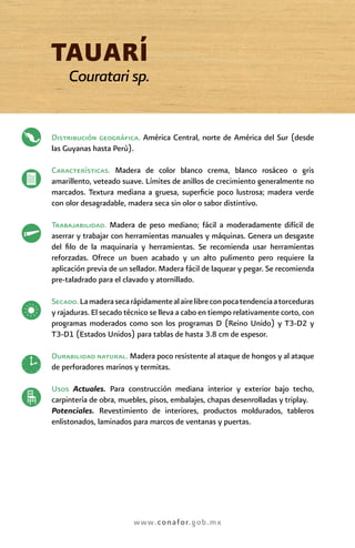 www.conafor.gob.mx
TAUARÍ
Couratari sp.
Distribución geográﬁca. América Central, norte de América del Sur (desde
las Guyanas hasta Perú).
Características. Madera de color blanco crema, blanco rosáceo o gris
amarillento, veteado suave. Límites de anillos de crecimiento generalmente no
marcados. Textura mediana a gruesa, superﬁcie poco lustrosa; madera verde
con olor desagradable, madera seca sin olor o sabor distintivo.
Trabajabilidad. Madera de peso mediano; fácil a moderadamente difícil de
aserrar y trabajar con herramientas manuales y máquinas. Genera un desgaste
del ﬁlo de la maquinaria y herramientas. Se recomienda usar herramientas
reforzadas. Ofrece un buen acabado y un alto pulimento pero requiere la
aplicación previa de un sellador. Madera fácil de laquear y pegar. Se recomienda
pre-taladrado para el clavado y atornillado.
Secado.Lamaderasecarápidamentealairelibreconpocatendenciaatorceduras
y rajaduras. El secado técnico se lleva a cabo en tiempo relativamente corto, con
programas moderados como son los programas D (Reino Unido) y T3-D2 y
T3-D1 (Estados Unidos) para tablas de hasta 3.8 cm de espesor.
Durabilidad natural. Madera poco resistente al ataque de hongos y al ataque
de perforadores marinos y termitas.
Usos Actuales. Para construcción mediana interior y exterior bajo techo,
carpintería de obra, muebles, pisos, embalajes, chapas desenrolladas y triplay.
Potenciales. Revestimiento de interiores, productos moldurados, tableros
enlistonados, laminados para marcos de ventanas y puertas.
 