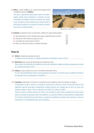 A Professora, Marta Rosas
Ficha 14
 