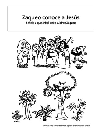Zaqueo conoce a Jesús
Señala a que árbol debe subirse Zaqueo
 
