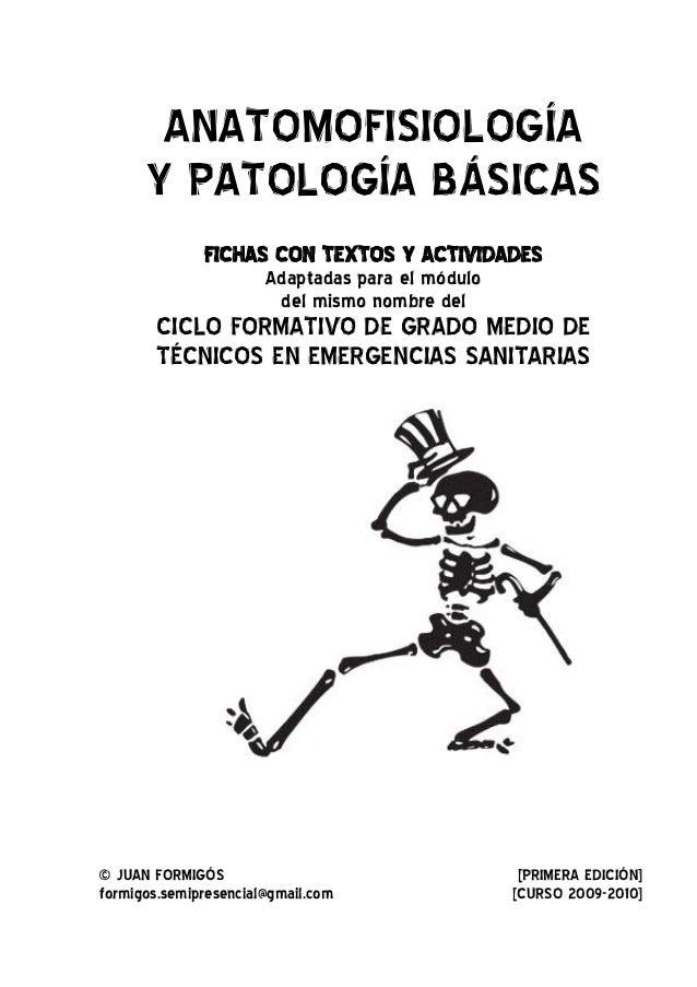 Fichas anatomofisiologia