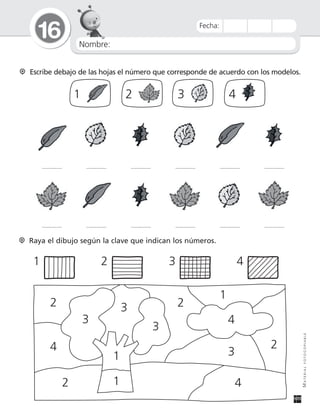 Nombre:
16
MATERIALFOTOCOPIABLE
Fecha:
Escribe debajo de las hojas el número que corresponde de acuerdo con los modelos.
1 2 3 4
Raya el dibujo según la clave que indican los números.
1 2 3 4
2
4
4
4
3
3
3
3
2
2
2
1
1
1
 