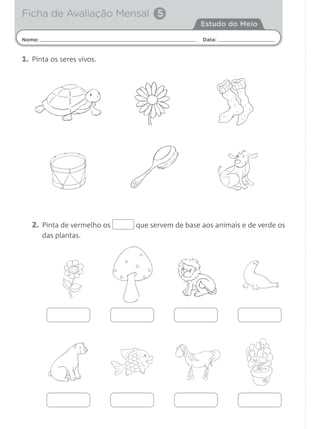2. Pinta de vermelho os que servem de base aos animais e de verde os
das plantas.
Nome: Data:
Estudo do Meio
Ficha de Avaliação Mensal 5
1. Pinta os seres vivos.
 