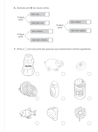 6. Assinala com X nos locais certos.
7. Pinta o (círculo) junto das gravuras que representam cheiros agradáveis.
A água
pura
tem cor.
não tem cor.
A água
pura
tem sabor.
não tem sabor.
A água
pura
tem cheiro.
não tem cheiro.
 