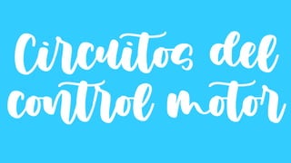 Circuitos del
control motor
 