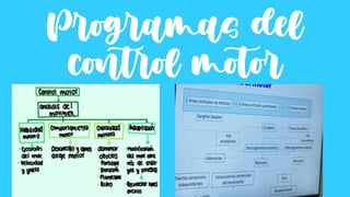 Programas del
control motor
 