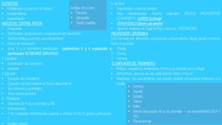 ELEMENTOS:
• Estabilización corporal en el espacio
• Desplazamiento
• Segmentación
NIVELES DEL CONTROL MOTOR
1. Programar
• Planificación, programación y organización del movimiento
• Sistema límbico y corteza parietal posterior
• Deseo de movimiento
• Area 4 y 6 premotora planificación (suplemetaria B y A organización y
planificación) ACTIVIDADES SUMATIVAS
2. Coordinar
• Coordinación del movimiento
• Cerebelo
3. Ejecutar
• Ejecución del movimiento
• Ejecución cortical mediante el tracto descendente
• Vías motoras y piramidales
• Area motora primaria
4. . Modulación
• Neuronas de tronco encefálico y ME
• Interneuronas
• N de modulación (motoneurona superior e inferior (A ALFA genera contracción
)
• Ganglios basales
5. Vía final
• Coordinación a nivel de cerebro
• Huso neuromuscular (vientre muscular) ORGANO PROPIOCEPTIVO
ESTIRAMIENTO GAMMA (estimula)
• INTRAFUSALES (dentro del vientre)
• Aparato tendinoso de Golgi(i (reflejo e inverso) CONTRACCION
ORGANIZACIÓN JERÁRQUICA
Esta formado por diferentes componentes y descendentes (llegan desde el inferior
hasta el encéfalo)
1. Medula
2. Tronco
3. Corteza
CLASIFICACION DEL MOVIMIENTO:
• Reflejos: respuestas involuntarias frente a un estimulo (arco reflejo)
• Automáticos: ausencia de una señal (patrón motor rítmicos)
• Voluntarios: vías descendentes que pueden reclutar estructuras anteriores a la
medula
Ganglios de la base
• Putamen
• Globopalido
• Núcleo caudado
• Corteza
• Capsula
• Ganglios
• Tálamo
• Bulbo
• Puente (decusación de la via piramidal-----via descendentes) (CEA Y
CEL)
• Mesensenfalo
 