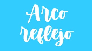 Arco
reflejo
 