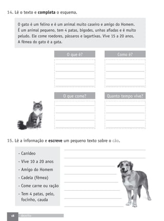 Fichas de avaliacao1º ano lp a grande aventura | PDF