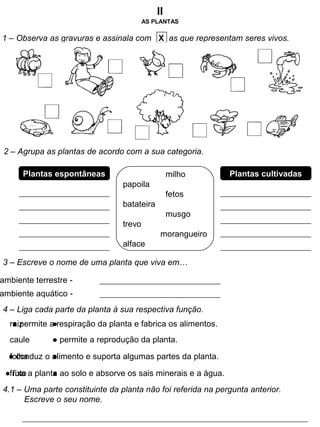 AS PLANTAS
II
1 – Observa as gravuras e assinala com X as que representam seres vivos.
2 – Agrupa as plantas de acordo com a sua categoria.
Plantas espontâneas Plantas cultivadasmilho
papoila
fetos
batateira
musgo
trevo
morangueiro
alface
3 – Escreve o nome de uma planta que viva em…
ambiente terrestre -
ambiente aquático -
4 – Liga cada parte da planta à sua respectiva função.
raiz ●
caule ●
folha ●
fruto ●
4.1 – Uma parte constituinte da planta não foi referida na pergunta anterior.
Escreve o seu nome.
● permite a respiração da planta e fabrica os alimentos.
● permite a reprodução da planta.
● conduz o alimento e suporta algumas partes da planta.
● fixa a planta ao solo e absorve os sais minerais e a água.
 