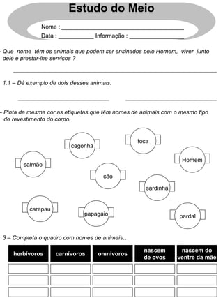 Estudo do Meio
Nome : ______________________________________
Data : ___________ Informação : _________________
– Que nome têm os animais que podem ser ensinados pelo Homem, viver junto
dele e prestar-lhe serviços ?
1.1 – Dá exemplo de dois desses animais.
– Pinta da mesma cor as etiquetas que têm nomes de animais com o mesmo tipo
de revestimento do corpo.
cegonha
cão
papagaio
carapau
foca
sardinha
Homem
pardal
3 – Completa o quadro com nomes de animais…
herbívoros carnívoros omnívoros
nascem
de ovos
nascem do
ventre da mãe
salmãosalmão
carapau
cegonha
cão
papagaio
foca
sardinha
Homem
pardal
 