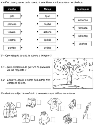 4 – Faz corresponder cada macho à sua fêmea e à forma como se desloca.
macho fêmea desloca-se
galo égua
andando
carneiro coelha
trotando
cavalo galinha
coelho pomba
saltando
pombo ovelha
voando
5 – Que estação do ano te sugere a imagem ?
5.1 – Que elementos da gravura te ajudaram
na tua resposta ?
5.2 – Escreve, agora, o nome das outras três
estações do ano.
6 – Assinala o tipo de vestuário e acessórios que utilizas no Inverno.
 