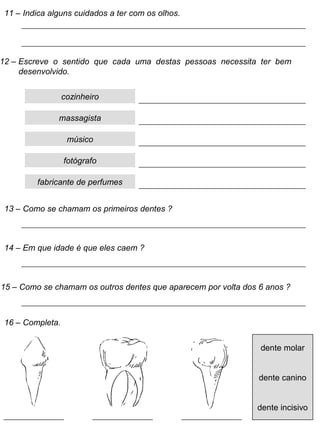 11 – Indica alguns cuidados a ter com os olhos.
12 – Escreve o sentido que cada uma destas pessoas necessita ter bem
desenvolvido.
cozinheiro
massagista
músico
fotógrafo
fabricante de perfumes
13 – Como se chamam os primeiros dentes ?
14 – Em que idade é que eles caem ?
15 – Como se chamam os outros dentes que aparecem por volta dos 6 anos ?
16 – Completa.
dente molar
dente canino
dente incisivo
 